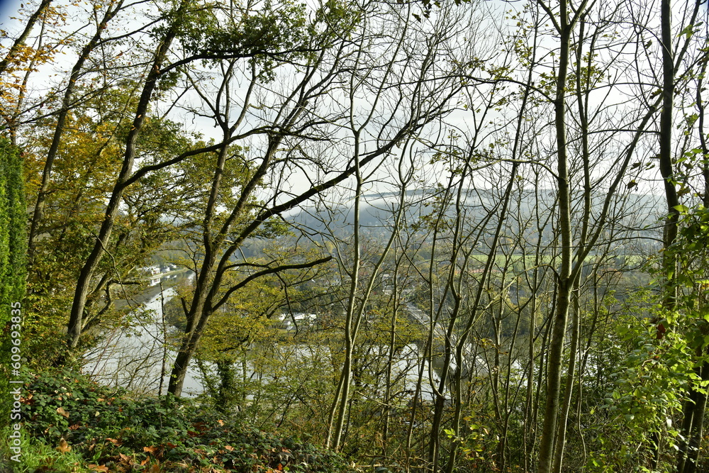 La forêt de Rouilon en automne sur les pente des collines dominant la vallée de la Meuse à Annevoie au sud de Namur La forêt de Rouilon en automne sur les pente des collines dominant la vallée de la Meuse à Annevoie au sud de Namur