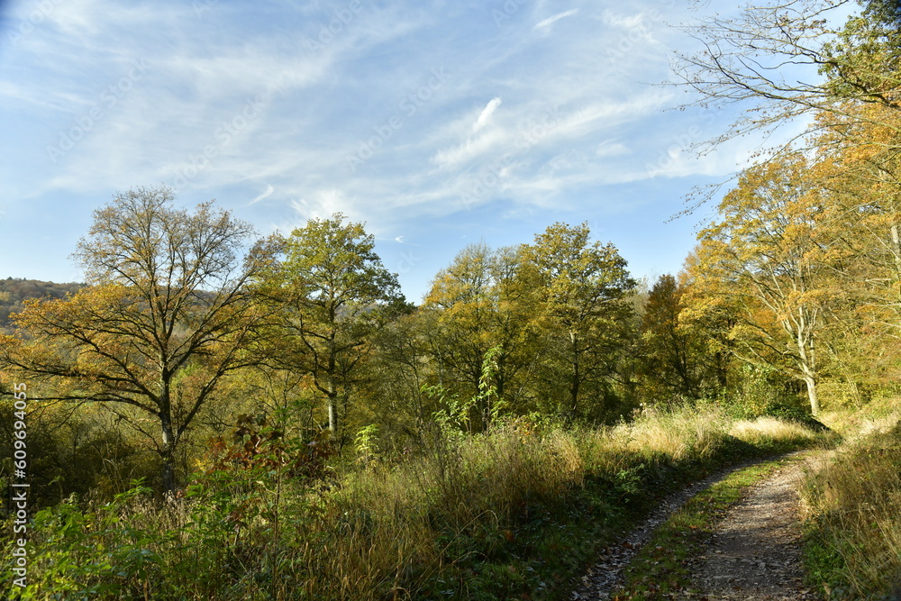 La forêt de Rouilon en automne sur les pente des collines dominant la vallée de la Meuse à Annevoie au sud de Namur La forêt de Rouilon en automne sur les pente des collines dominant la vallée de la Meuse à Annevoie au sud de Namur