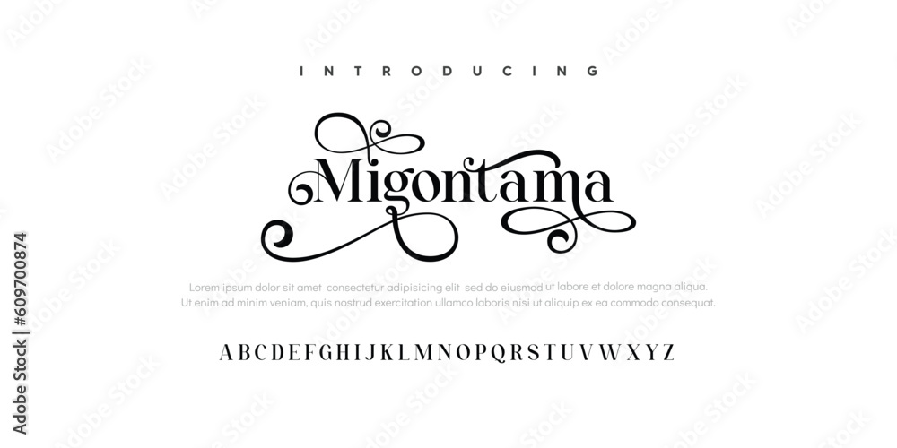 Elegant Font Uppercase Lowercase and Number. Classic Lettering Minimal Fashion Designs. Typography modern serif fonts regular decorative vintage concept. vector illustration Elegant Font Uppercase Lowercase and Number. Classic Lettering Minimal Fashion Designs. Typography modern serif fonts regular decorative vintage concept. vector illustration