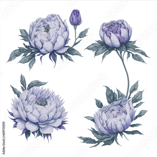 Peonies Purple Lavender Watercolor Flower Arrangement Collection.