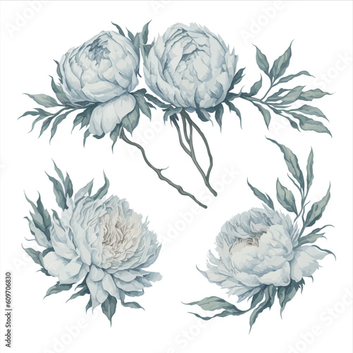 Peonies White Watercolor Flower Arrangement Collection.