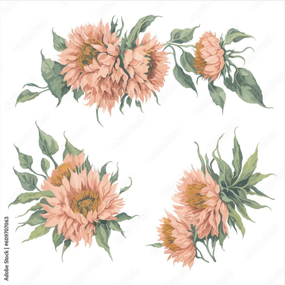 Sunflower Pink Watercolor Flower Arrangement Collection.