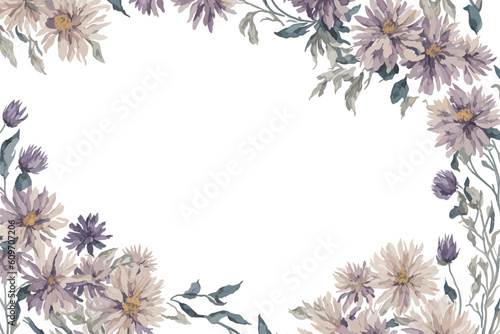 Background Asters Flower Watercolor with White Space for Wedding Invitation Ornament.