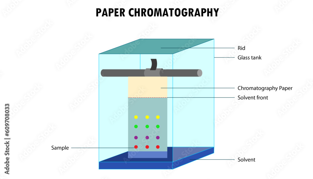 Diagram of Paper chromatography, lab test Stock Vector Adobe Stock