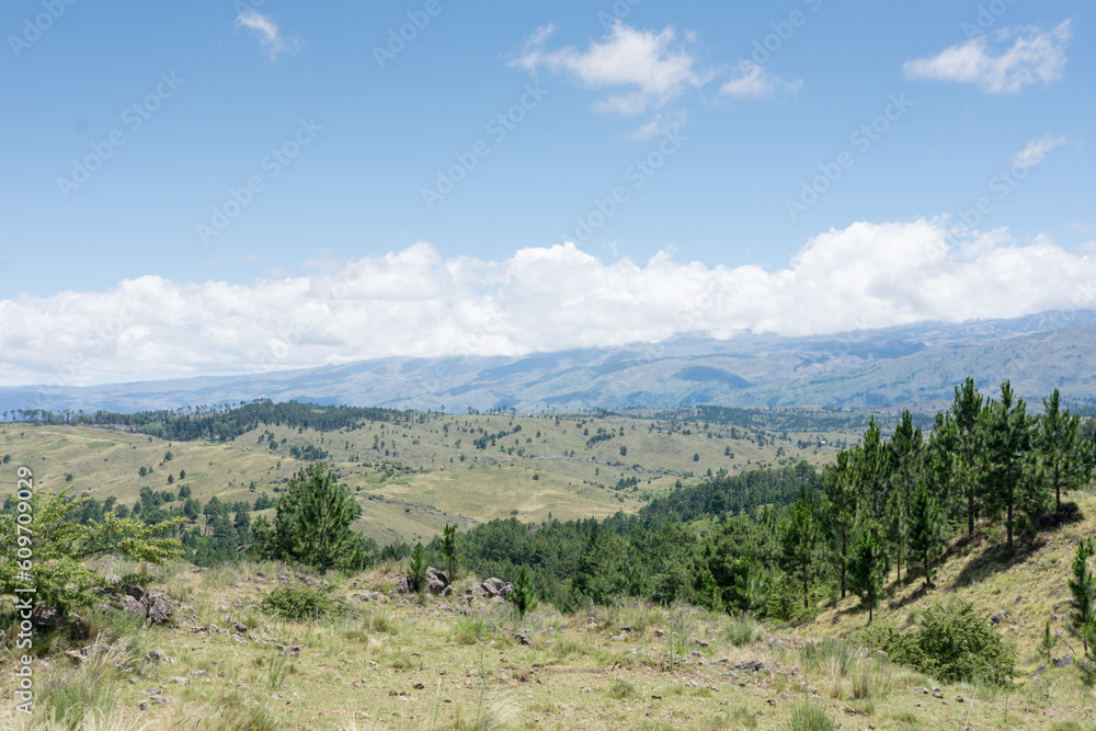 Vegetation landscape in the Sierras de Cordoba in Argentina Vegetation landscape in the Sierras de Cordoba in Argentina