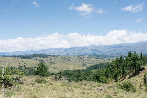 Vegetation landscape in the Sierras de Cordoba in Argentina © Jopstock
