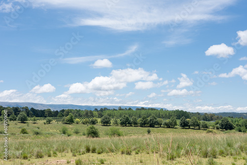 Vegetation landscape in the Sierras de Cordoba in Argentina