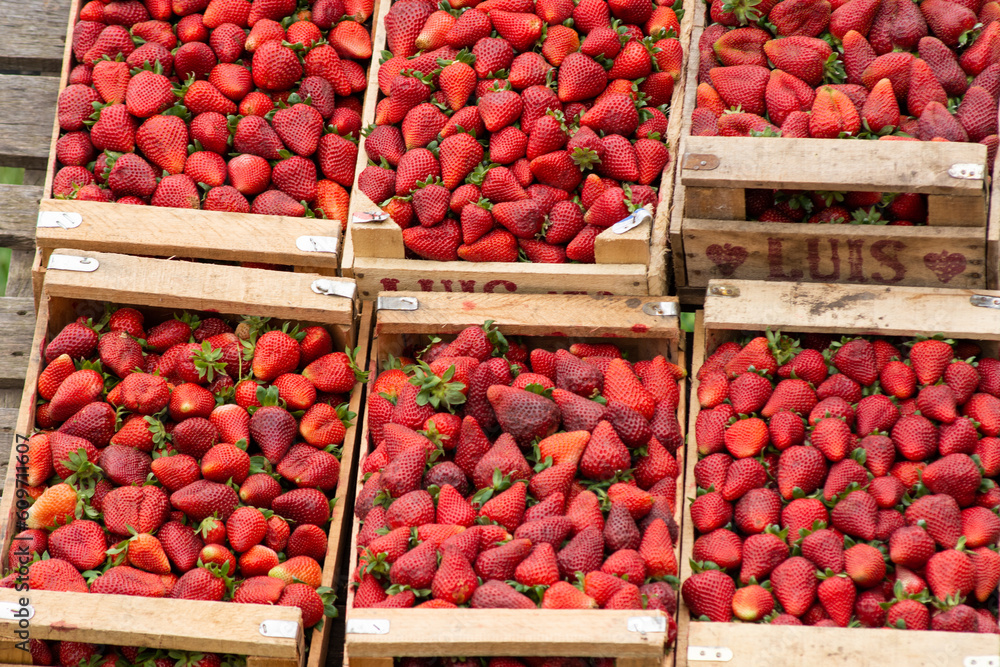 Full frame shot of Fresh Strawberry's At A Local Market Full frame shot of Fresh Strawberry's At A Local Market
