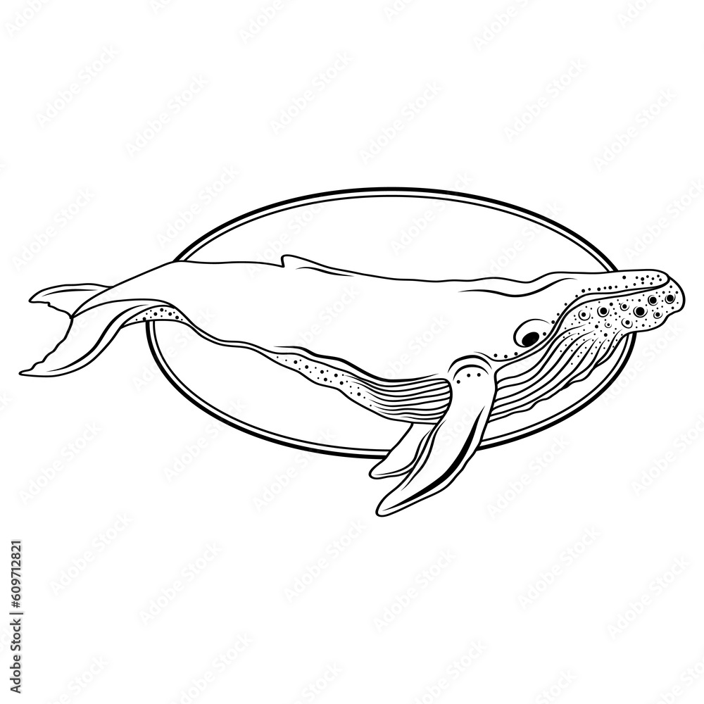 Whale, silhouette, logo with a whale. Vector art. Whale, silhouette, logo with a whale. Vector art.