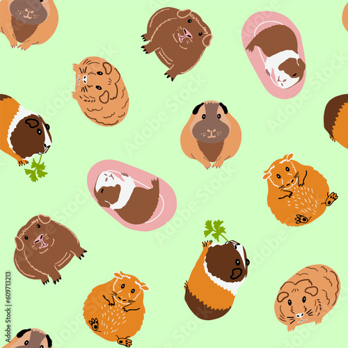 Seamless pattern with guinea pigs of different breeds. Rodent repeat pattern. Cartoon vector illustration.