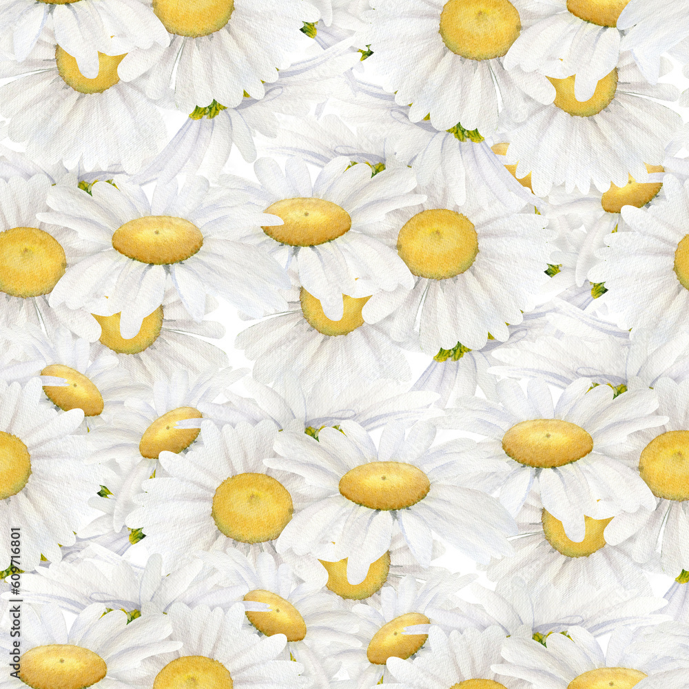  Watercolor Seamless Pattern Of A White Daisy