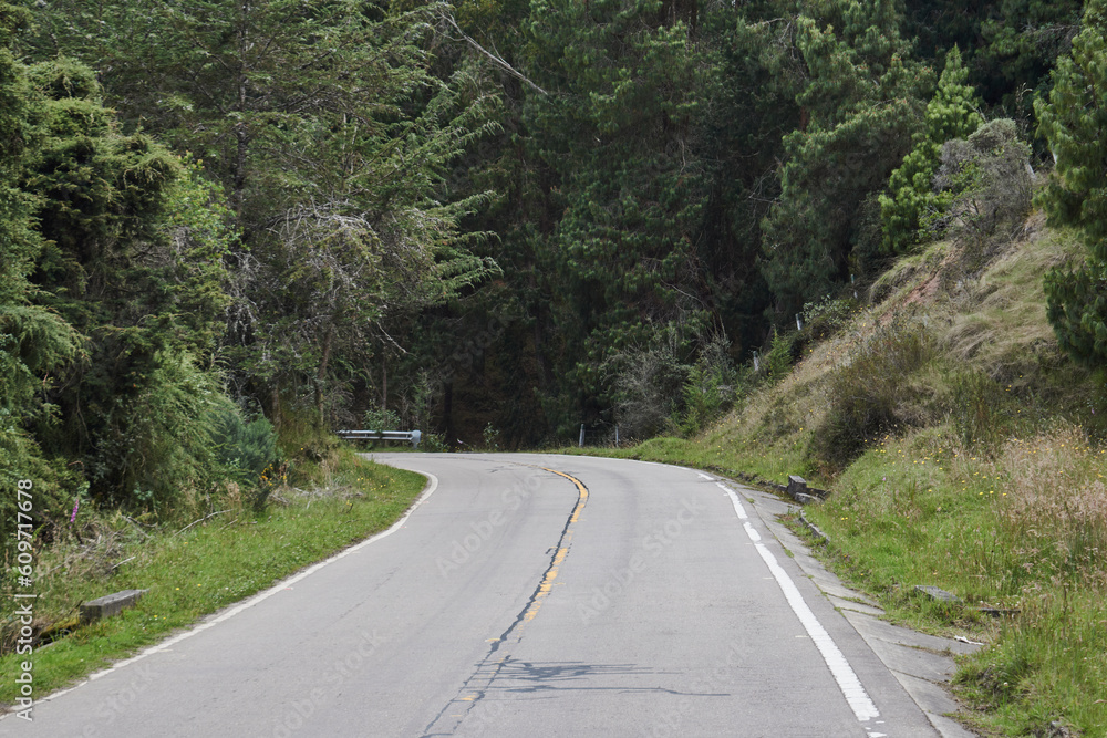 A visual window into the connection between the main road and the lush vegetation of the wooded savannah. A journey that unveils beauty at every turn of the road.