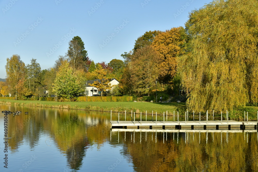 La végétation luxuriante en automne le long des berges du lac des Doyards à Vielsalm