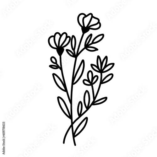Decorative beauty elegant illustration for floral hand drawn design.