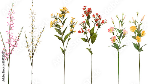 Fototapeta Naklejka Na Ścianę i Meble -  set of flowers on transparent background