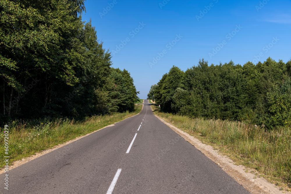 Paved road through the forest