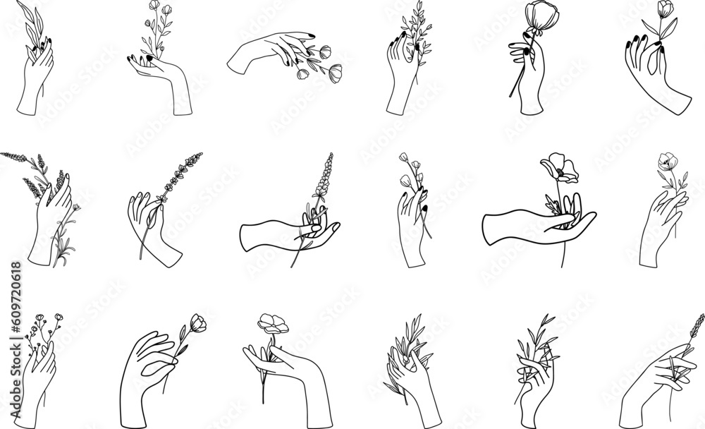 Female hands with flowers in a minimalistic linear style; vector illustration with hand gestures holding lavender, wildflowers and branches