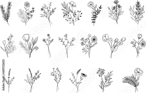 Botanical abstract line arts, hand drawn bouquets of herbs, flowers, leaves and branches, vector illustration