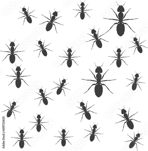  Black ant trail. Working insect curve group silhouettes isolated. Vector illustration. Pro Vector 