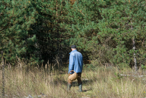 A mushroom picker is looking for mushrooms in the autumn forest. © Олеся Тамилович