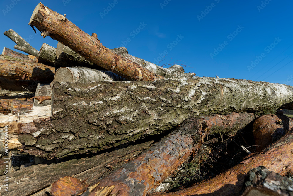 a pile of sawn wood after deforestation, harvesting of wood a pile of sawn wood after deforestation, harvesting of wood