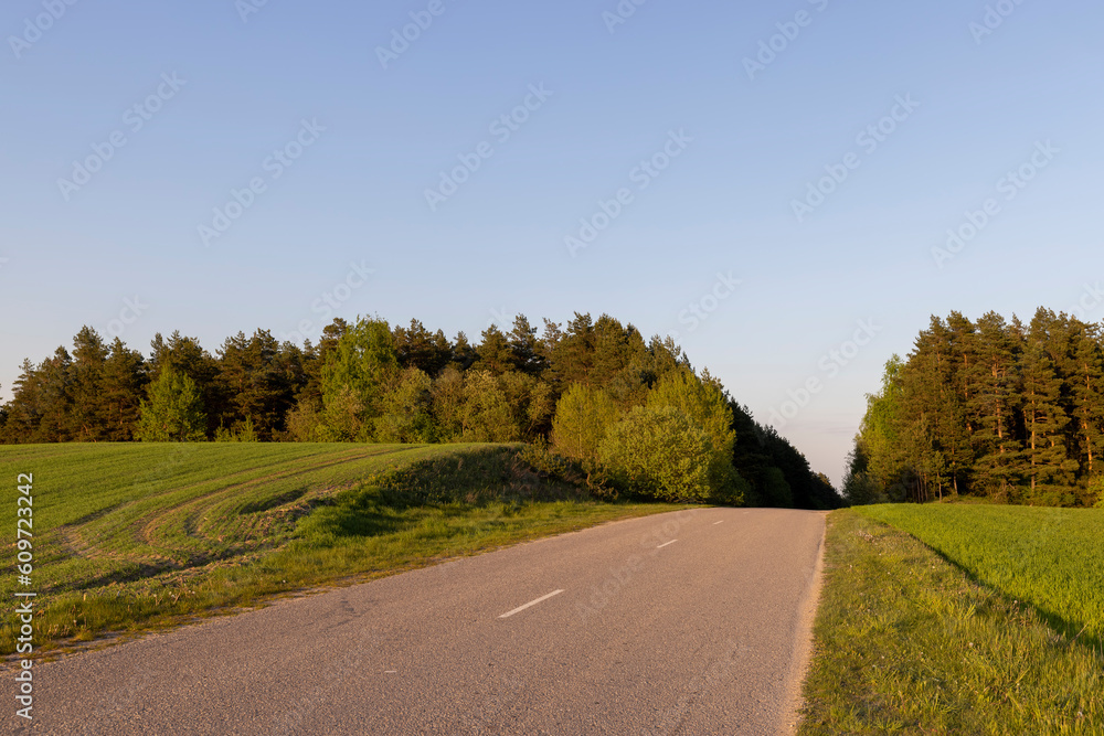 Fototapeta premium paved road in the spring season during sunset