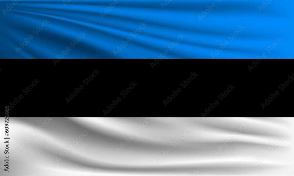 Naklejka premium Vector flag of Estonia