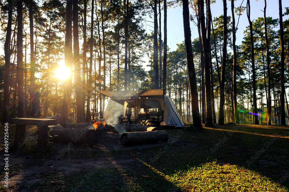 Camping tent tourism under pine forest trees landscape backlit by golden sunlight with sun rays pouring through trees. Campground with a bonfire in beautiful sunlight before sunset is romantic.