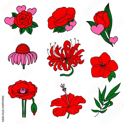 set of poppies. set of red flowers. red flower garden