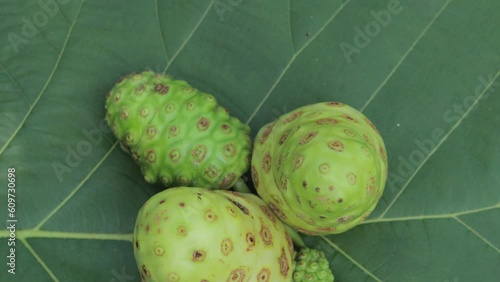 close up sliced fresh noni fruit or Morinda citrifolia is a fruit-bearing tree in the coffee family, rotating Rubiaceae