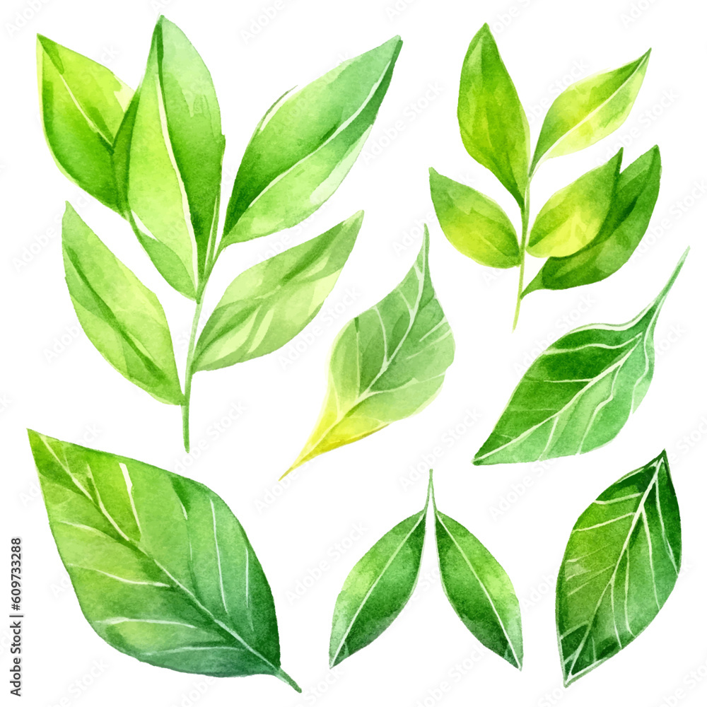 green leaves seamless pattern watercolor