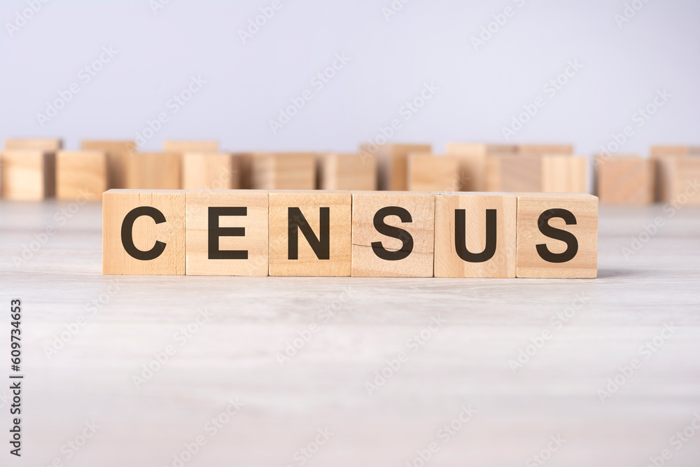 Fototapeta premium word CENSUS inscribed on wooden cubes lying on a light table. economy and investments concept.