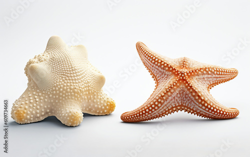 Two starfishs are sitting on a white surface next to each other,, Generative Ai