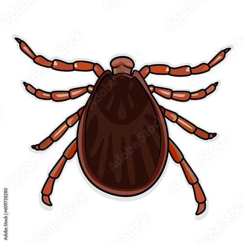 Dog tick nymph stage vector image, Dermacentor variabilis vector illustration