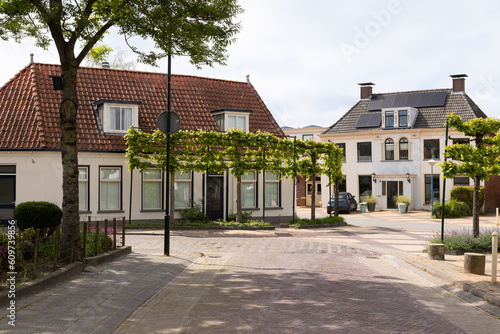 Tableau sur toile Street with espaliers in the center of the Dutch village of Marrum in Friesland