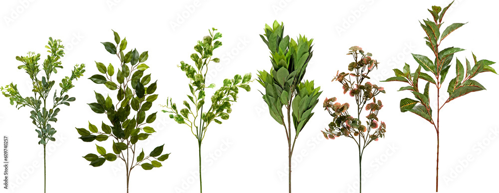 set of plants on transparent background
