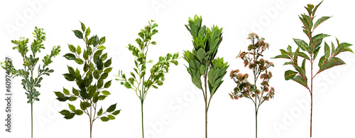 set of plants on transparent background