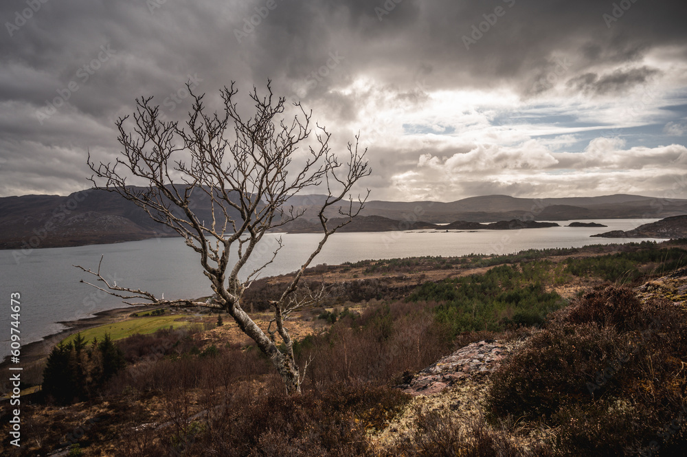 Obraz premium A Sea Loch in the Scottish higlands