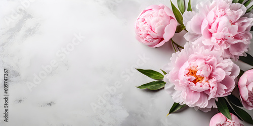 Fototapeta Naklejka Na Ścianę i Meble -  Peony flowers on light concrete background, spring flat lay banner. Valentine's, womens, mothers day, birthday or wedding concept. Top view. Copy space. Generated AI.