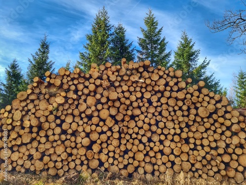 Drewno w górach i lesie © ŁukaszA