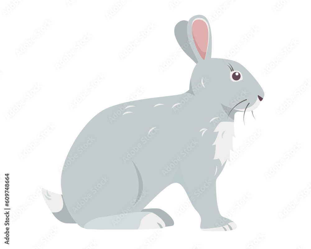 Grey sitting rabbit. Wild forest or Farm animal or pet icon. Vector illustration isolated on white background. Grey sitting rabbit. Wild forest or Farm animal or pet icon. Vector illustration isolated on white background.
