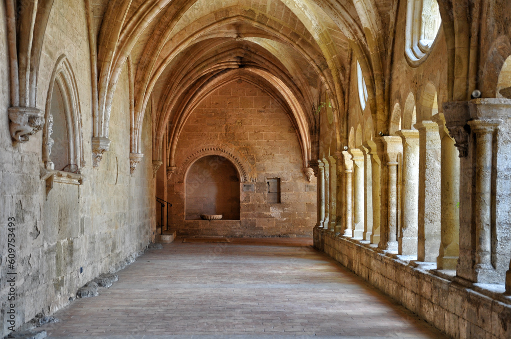 Abdij van Valmagne,   abbaye de Valmagne.
Villeveyrac, Herault, Languedoc Roussillon, South of France, Europe.

