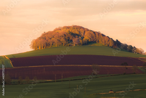 Leinwand Poster Scenic landscape view of pastoral countryside farmland and ploughed fields at sunset in Moonzie near Cupar in Fife, Scotland, UK
