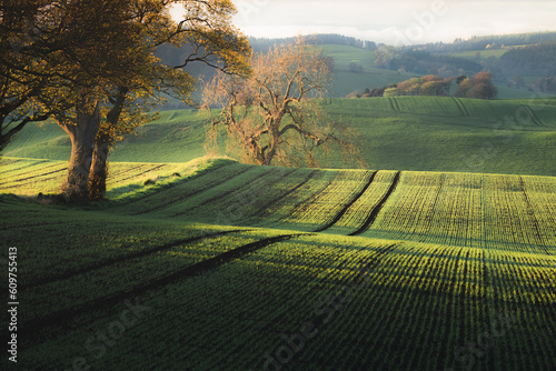 Photo Scenic landscape view of rolling hills and pastoral countryside farmland in Moonzie near Cupar in Fife, Scotland, UK