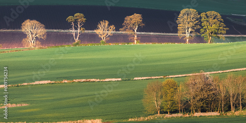 Leinwand Poster Scenic landscape view of pastoral countryside farmland in Moonzie near Cupar in Fife, Scotland, UK