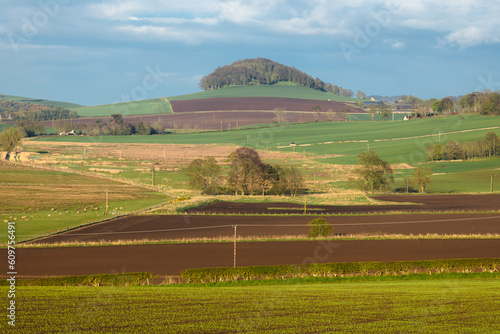 Fotografie, Obraz Scenic landscape view of pastoral countryside farmland in Moonzie near Cupar in Fife, Scotland, UK