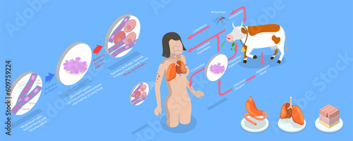 3D Isometric Flat Vector Conceptual Illustration of Anthrax, Labeled Medical Infection Disease Cycle Scheme