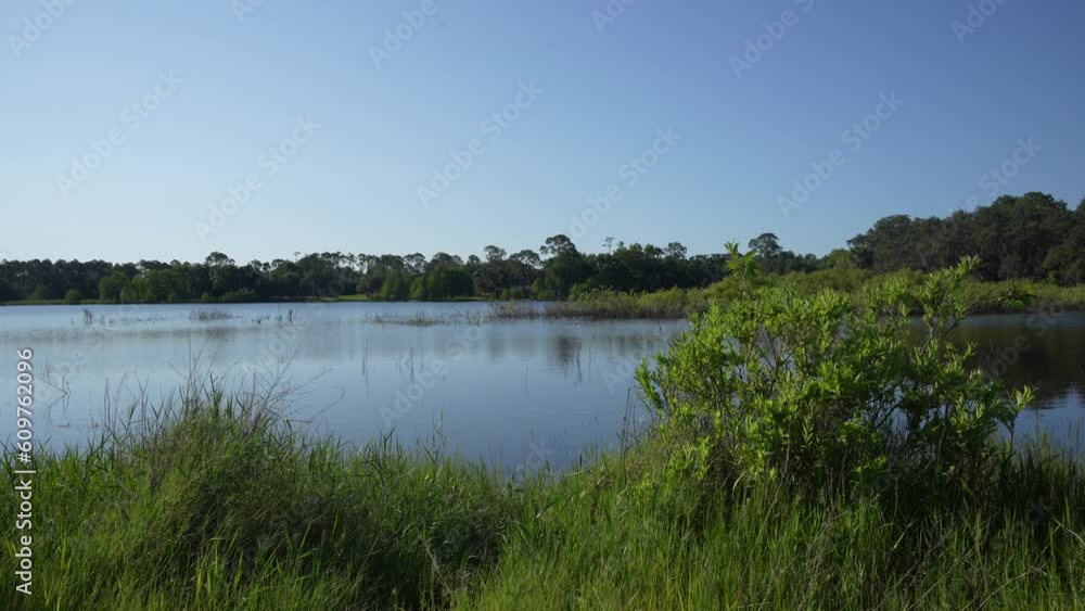 Serene morning on a beautiful day at Lake Helen In Casssadega, Florida Serene morning on a beautiful day at Lake Helen In Casssadega, Florida