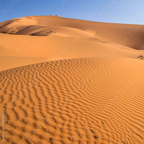 desert, sand, dune, landscape, dunes, sahara, nature, sky, dry, travel, morocco, arid, sand dune, hot, sun, orange, adventure, yellow, sandy, sand dunes, heat, hill, camel, dubai, sunset