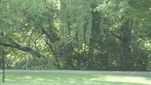 Summer snow falling